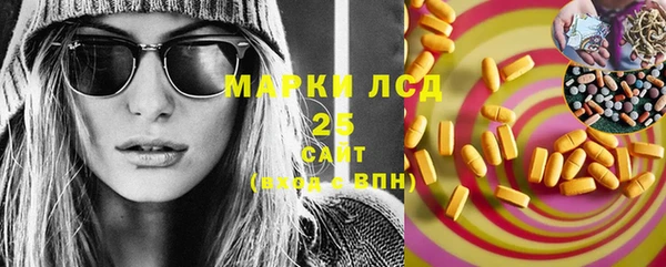 шишки Арсеньев