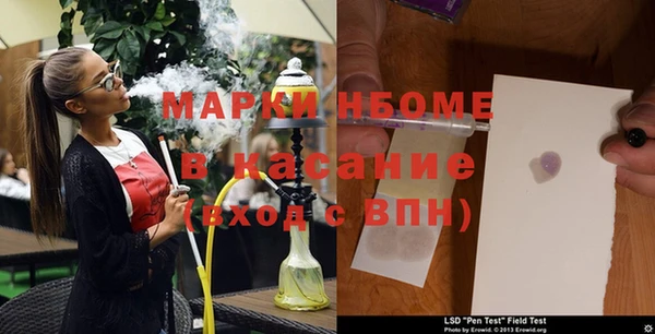 шишки Арсеньев