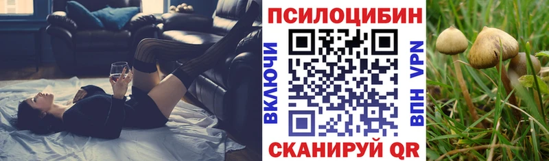 сколько стоит  blacksprut зеркало  Галлюциногенные грибы MAGIC MUSHROOMS  Вихоревка 